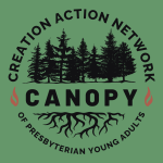 CANOPY logo